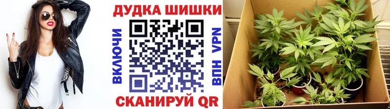 купить наркотики сайты  Кирсанов  Конопля Bruce Banner 